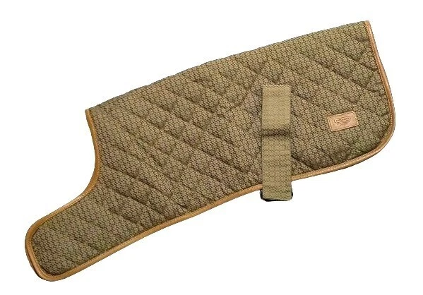 Coach Dog Clothing & Shoes for sale | eBay