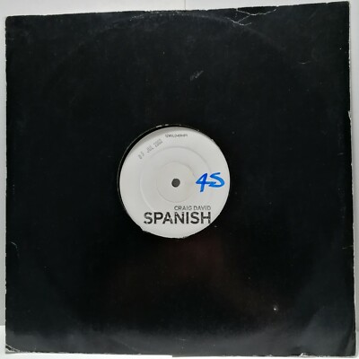 Craig David    Spanish 12'' Vinyl Rishi Rich Remixes Hip Hop RNB
