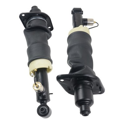 Paar Hinten Federbein Stoßdämpfer Luftfederung Für 97-05 Audi A6 Allroad Quattro