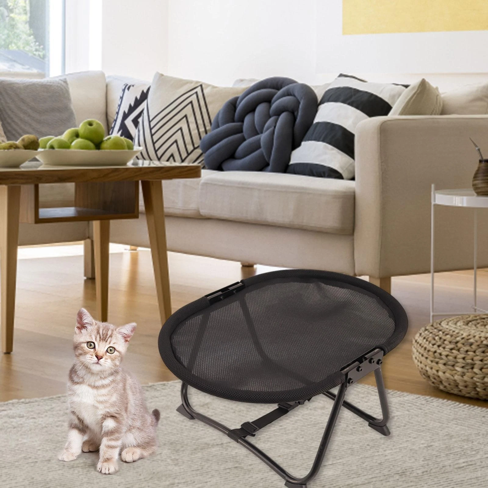 Elevated Pet Bed Black Comfortable with Storage Bag Gifts Quick Set up Versatile