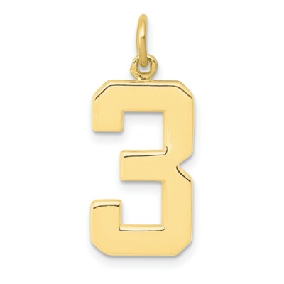Real 10kt Yellow Gold Large Polished Number 3 Charm
