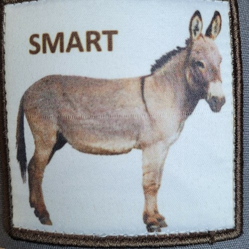 SMART Ass Hat Trucker Baseball Cap Mesh Panel Adjustable One Size Snap Back New - Picture 3 of 17