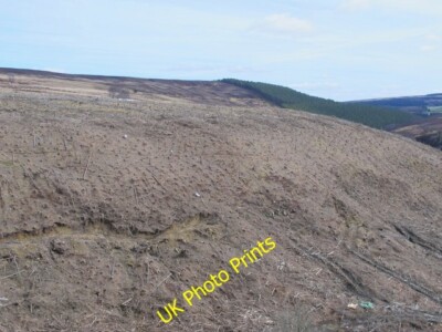 Foto 6x4 Kahlschlag auf der Ostseite von Beldon Cleugh Hunstanworth SE C2015