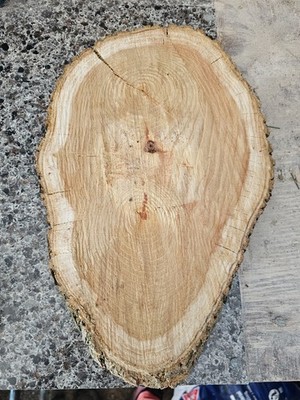 14 1/2''×9 1/2×1'' Black walnut wood slice live edge