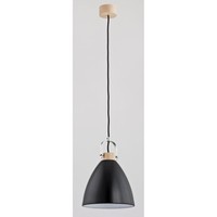 Schwarz Klassisch Skandinavisch HäNgelampe Pendelleuchte 1X60W/E27 22X100 [Cm]