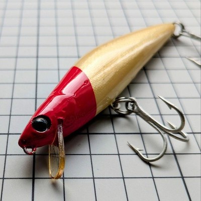 Salt Rizer 110 Floating Lure Tifa Salty Seabass Wood Used Near Mint