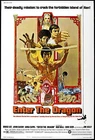 ENTER THE DRAGON Movie Poster Kung-Fu