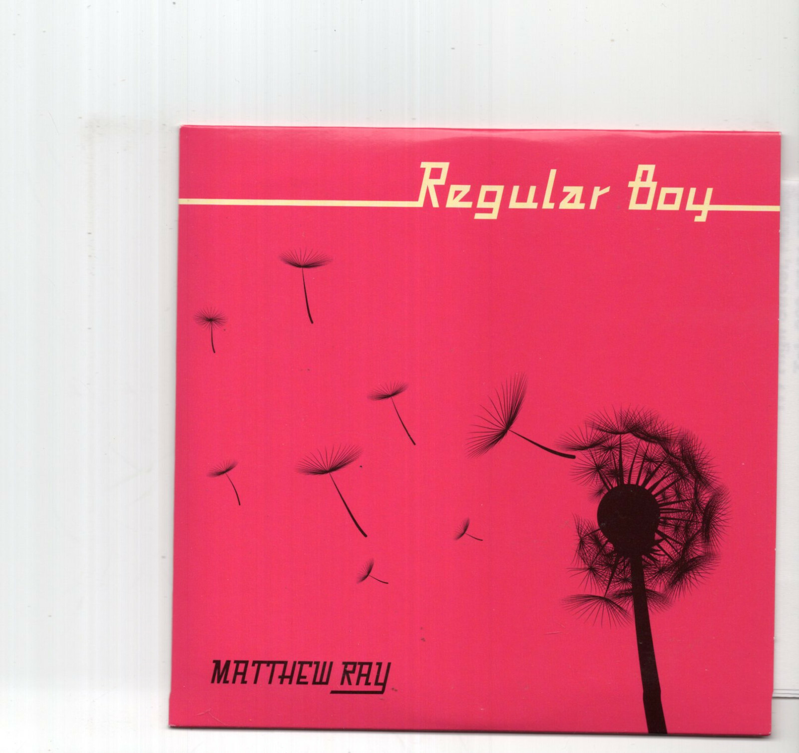 (JB369) Matthew Ray, Regular Boy - 2007 CD