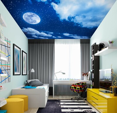 3D White Moon 033 WallPaper Murals Wall Print Decal Wall Deco AJ WALLPAPER Zoe