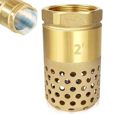 2'' One-Way Foot Valve, No-Lead Brass w/ZEBRA MUSSEL Strainer, No Return Valves