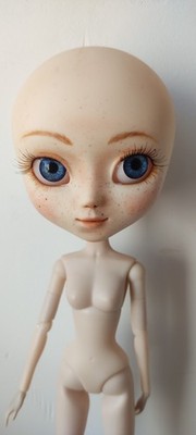 Pullip ooak Puppe und seine Perücke