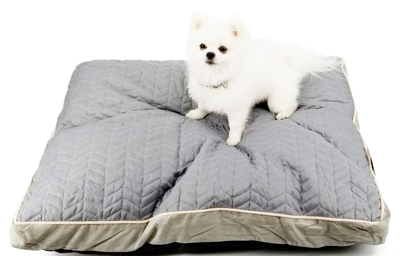 serta dog bed medium