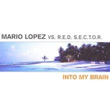 Into My Brain von Lopez,Mario Vs.Red Sector | CD | Zustand sehr gut