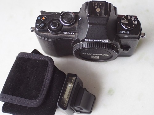 OLYMPUS OM-D-EM5 - Foto 11 di 20