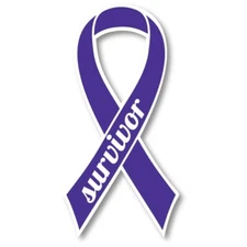 Violet Hodgkins Lymphoma and Testicular Cancer Survivor Ribbon Car Magnet