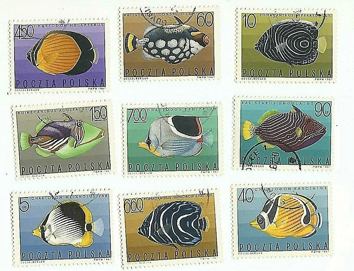 Mint Never Hinged/MNH Fish Polish Stamps for sale