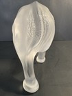 Foto 9 di 21