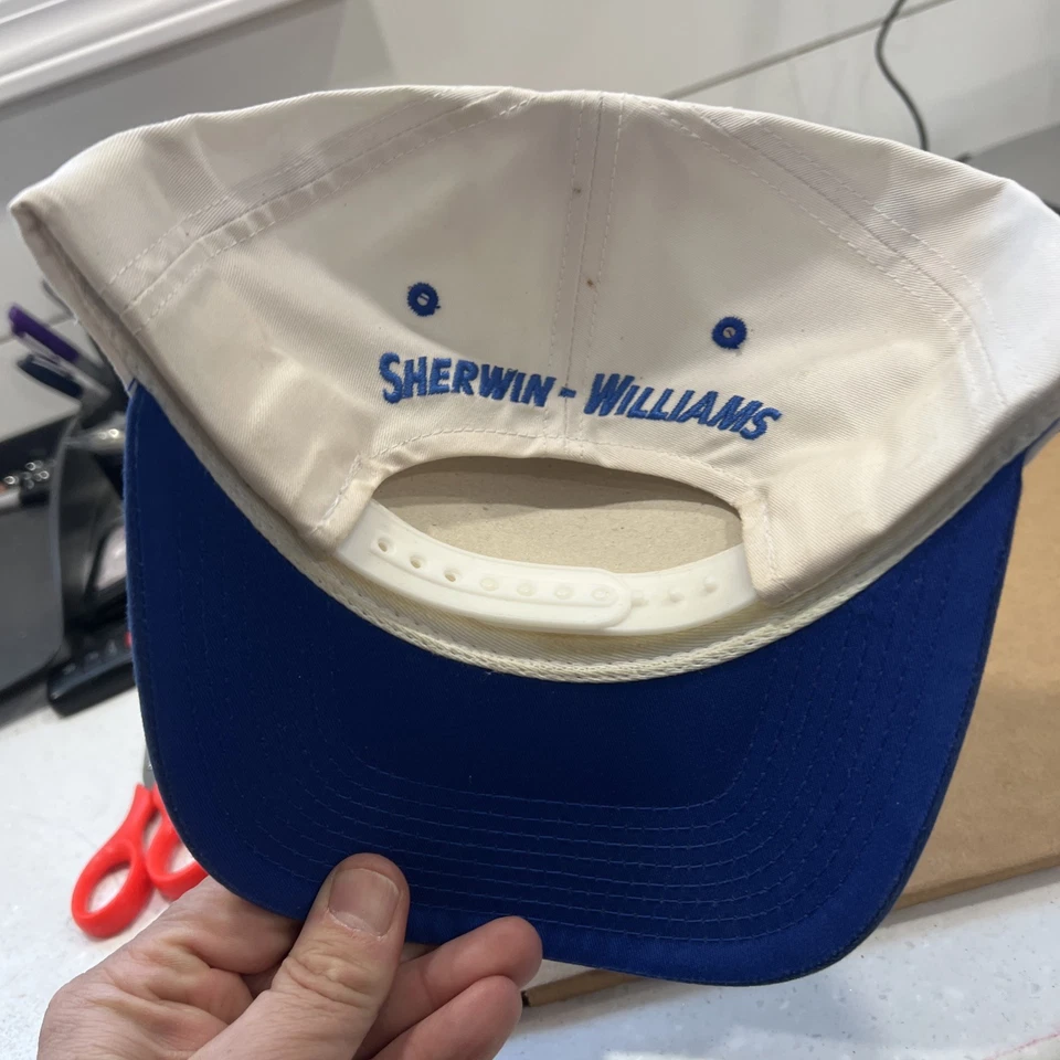 复古 Sherwin Williams Cover The Earth 平沿帽 90 年代卡车司机新品 — 第 2/2 张图片