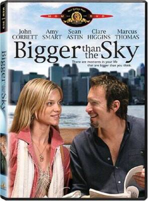 Bigger Than the Sky - DVD - GOOD