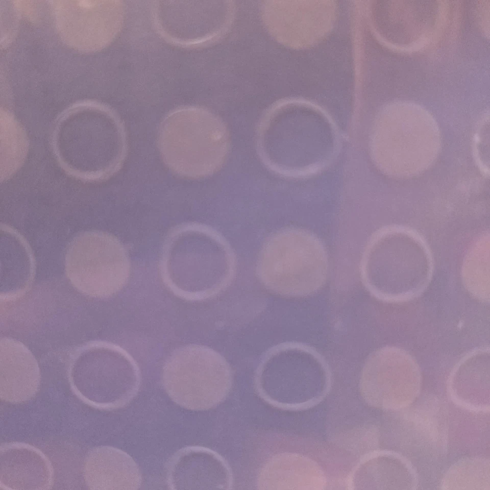 Stampin Up! Álbum de recortes 12 X 12 álbum de fotos encuadernado lunares azules NUEVO Foto 2 de 4