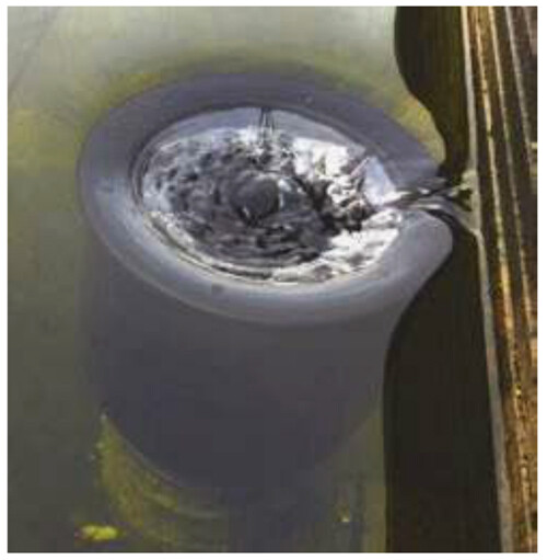 AquaForte Rohrskimmer mit Korb Ø200 / 110mm Schwerkraft Skimmer Koi