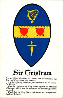 Sir Tristram King Arthur's Hall Souvenir England UK Unposted Postcard D93