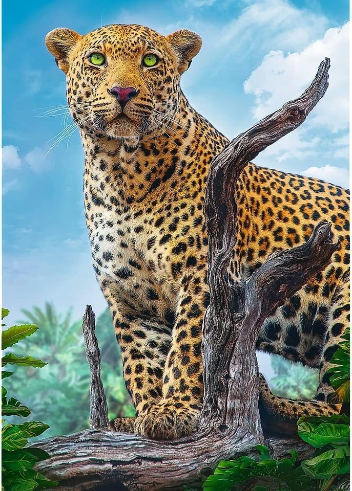 NUEVO Rompecabezas Trefl 500 Piezas Calidad Premium Leopardo Salvaje Foto 2 de 2