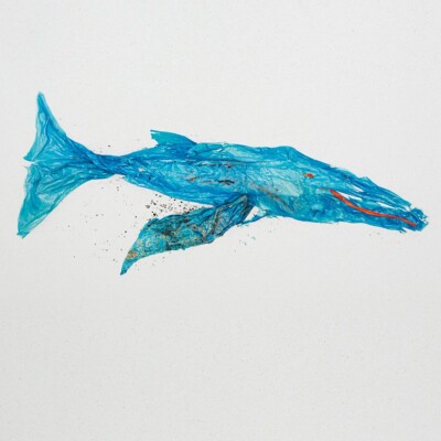 Kunstdruck Blauwal Wandbild Printabzug 30x40 Ohne Rahmen Wal Blau Plastik 