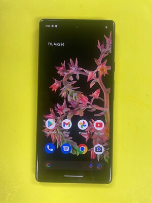 Google Pixel 6 - 256GB - Sorta Seafoam (Unlocked) - Discolored Edges