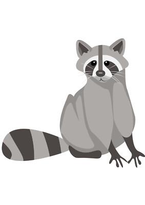 Riesiger XXXL Autoaufkleber Sticker Waschbär Aufkleber