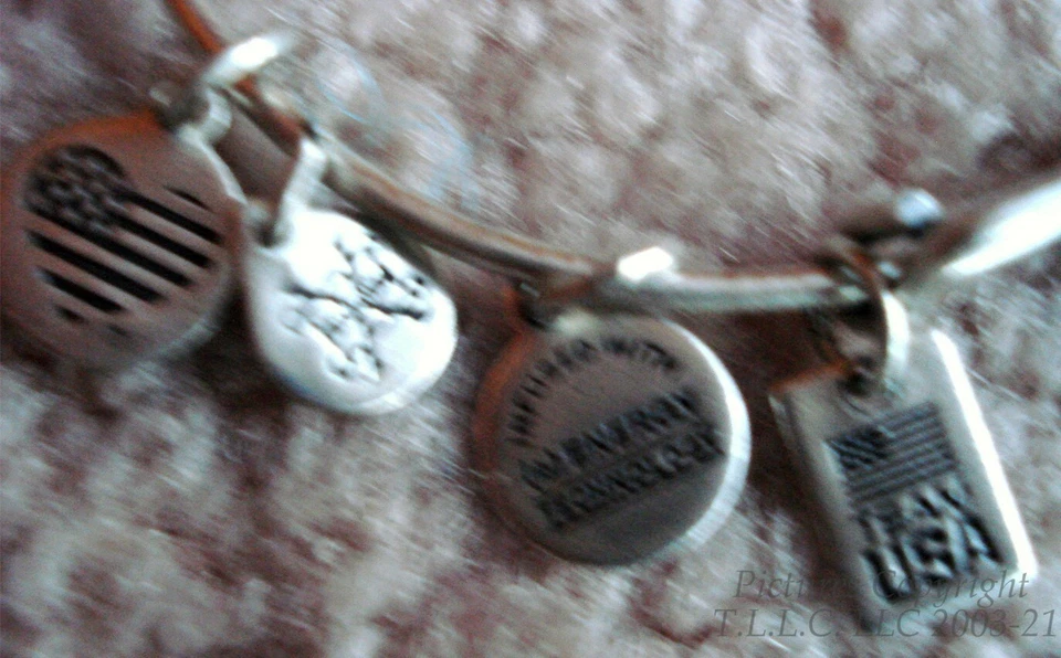 US Olympic Team Brazil Tropical Toucan Energy Silver Alex and Ani Charm Bracelet - Image 3 of 4