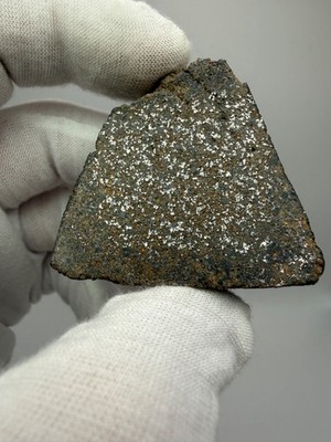 NWA 17231 H5 Chondrite Meteorite 56.8 gram slice with fresh crust & bright metal