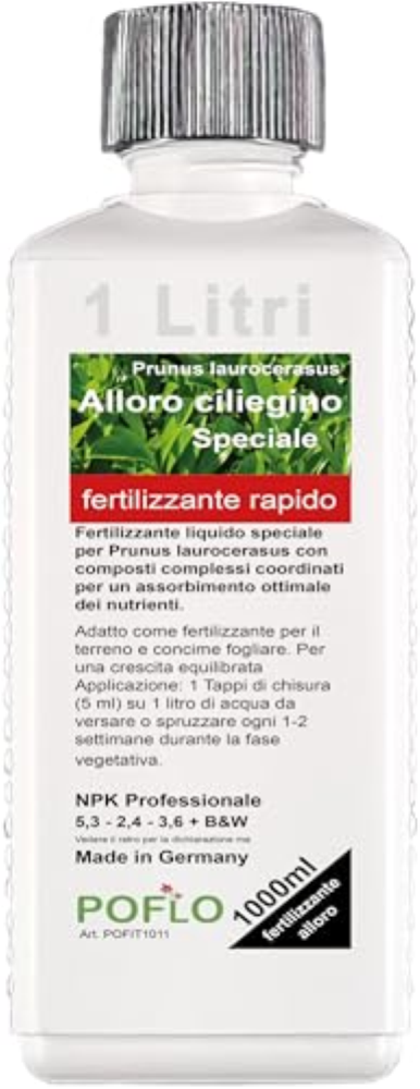 Fertilizzante per alloro ciliegia Fertilizzante per alloro Prunus laurocerasus,