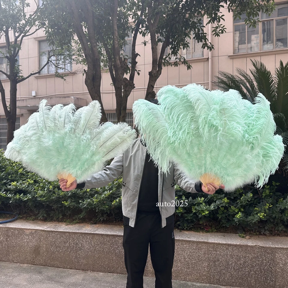 2件装天然鸵鸟手羽毛风扇用于舞者表演派对羽毛手扇 — 第 3/4 张图片