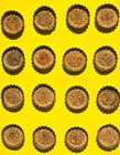 16 Vintage Soda Pop Cork Bottle Caps Pepsi 7UP Coke Nesbitt's Crush Teem Hires — photo 2