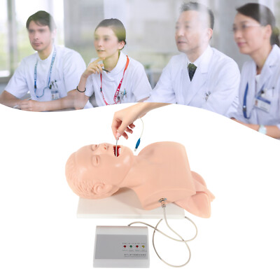Airway Management Trainer Study Adult Oral Intubation Manikin Teaching Model NEW