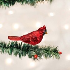 Old World Christmas Ornament: Shiny Red Northern Cardinal, 18137