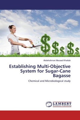 Establishing Multi-Objective System for Sugar-Cane Bagasse Abdelrahman Mosaad Kh