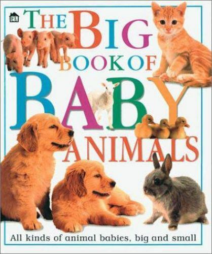 Big Book of Baby Animals - 9780789430694, DK, hardcover - Picture 1 of 1