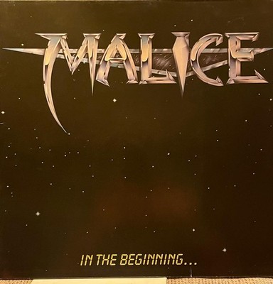 Vinyl LP Schallplatte In The  Beginning