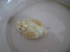 Bild 3 von 5