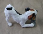 Picture 4 of 8