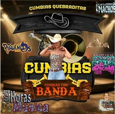 14# BANDAS cumbias  ritmo y sabor 50 cumbias con banda en una usb