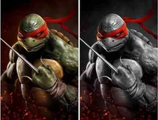 TEENAGE MUTANT NINJA TURTLES #1 JAY FERGUSON EXCLUSIVE VIRGIN VARIANT A & B SET