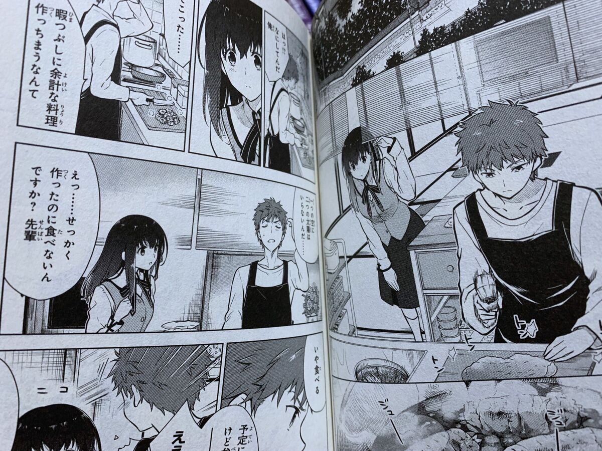 Fate/stay night Heaven's Feel Vol.1-10 Set Comics Type-Moon Fate/stay night Heaven's Feel Vol.1-10 Set Comics Type-Moon