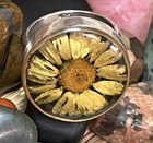 Vintage 925 Sterling Silver Real Pressed Flower Resin Dome Ring Size 6.5 Boho