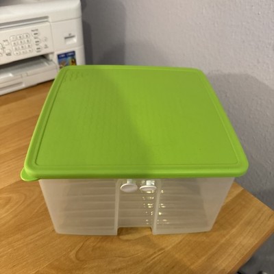 Tupperware NEU Prima Klima 4,2 L grün Kühlschrank Behälter für Gemüse etc.