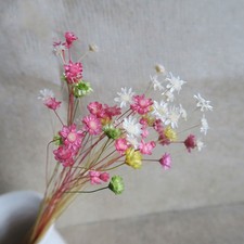 100pcs Lovely Mini Daisy Decorative Dried Flowers Small Star Flower Natural