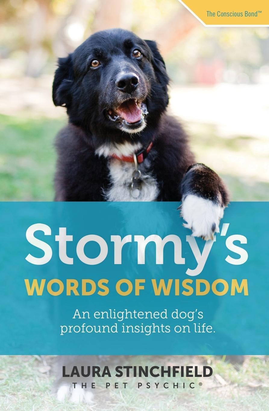 Thumbnail - Stormy's Words Of Wisdom An Enlightened Dog's Profound Insights On