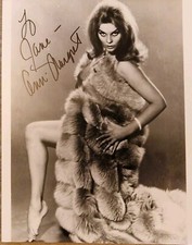 Ann Margret - the 'female Elvis' Hollywood Star signed photo 10x8". AFTAL COA